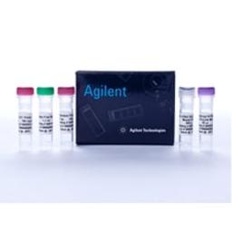 AffinityScript One-Step RT-PCR Kit - Agilent Technologies - Life Sciences