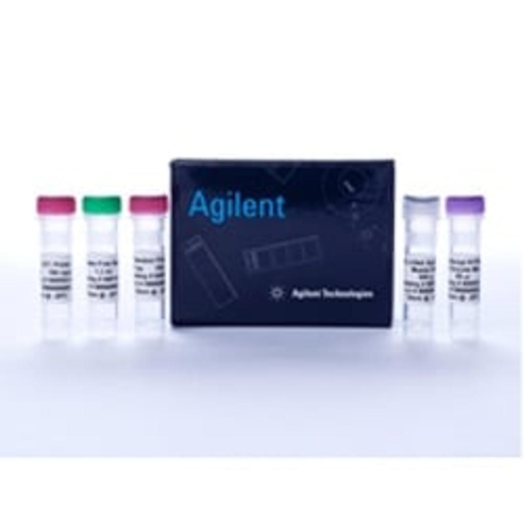 AffinityScript One-Step RT-PCR Kit - Agilent Technologies - Life Sciences