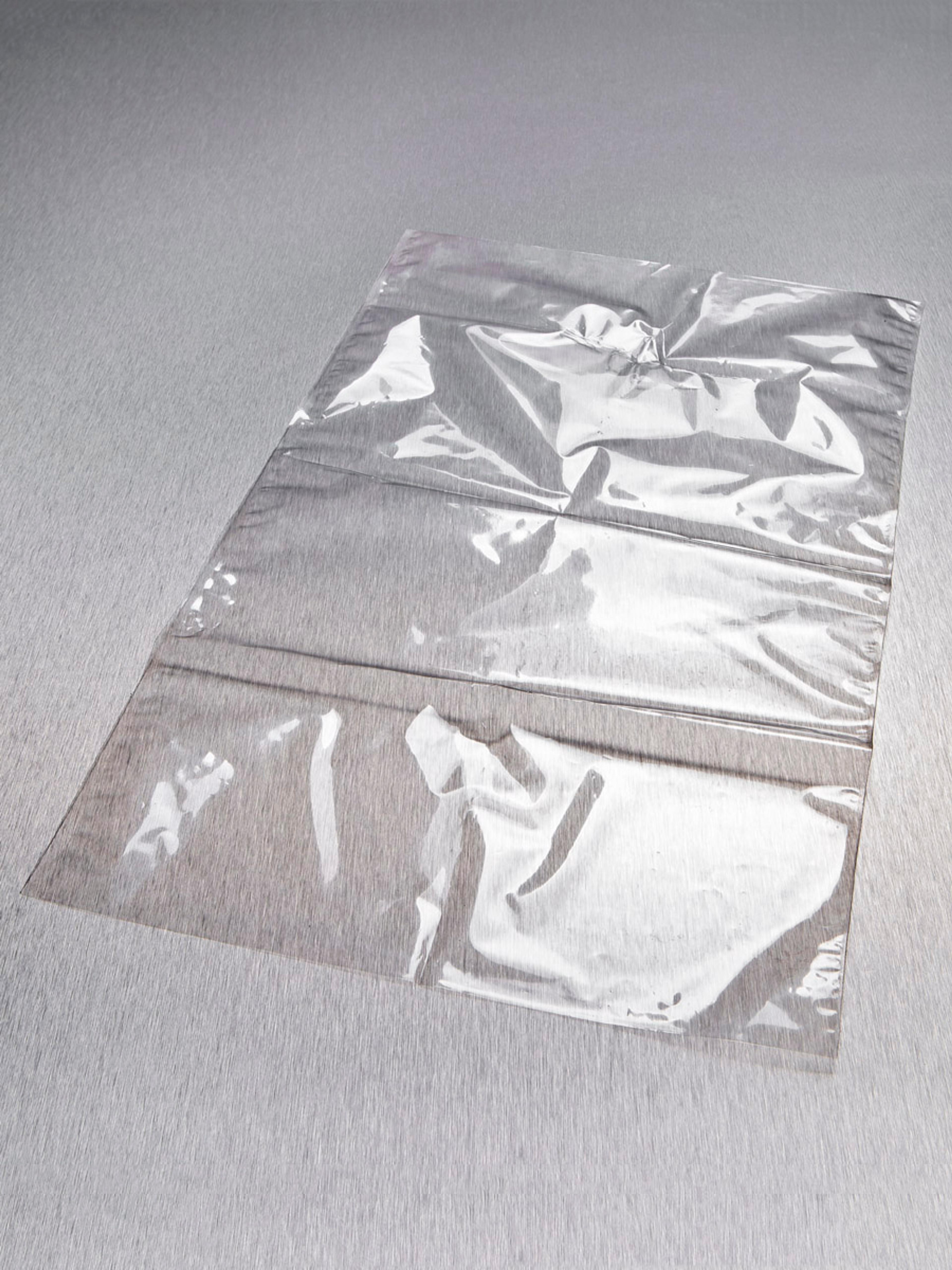 Corning® Gosselin™ Autoclavable Bag, 21 L, PP, 40 µm, 500/Case - Corning Life Sciences - General Lab