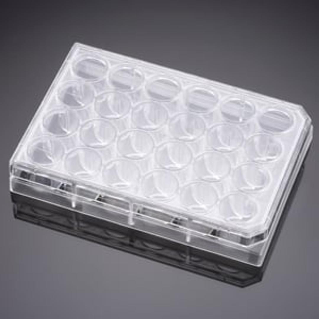 Falcon® 24-well TC-treated Cell Polystyrene Permeable Support Companion Plate, with Lid, Sterile, 1/Pack, 50/Case - Corning Life Sciences - Life Sciences