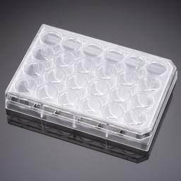 Falcon® 24-well TC-treated Cell Polystyrene Permeable Support Companion Plate, with Lid, Sterile, 1/Pack, 50/Case - Corning Life Sciences - Life Sciences