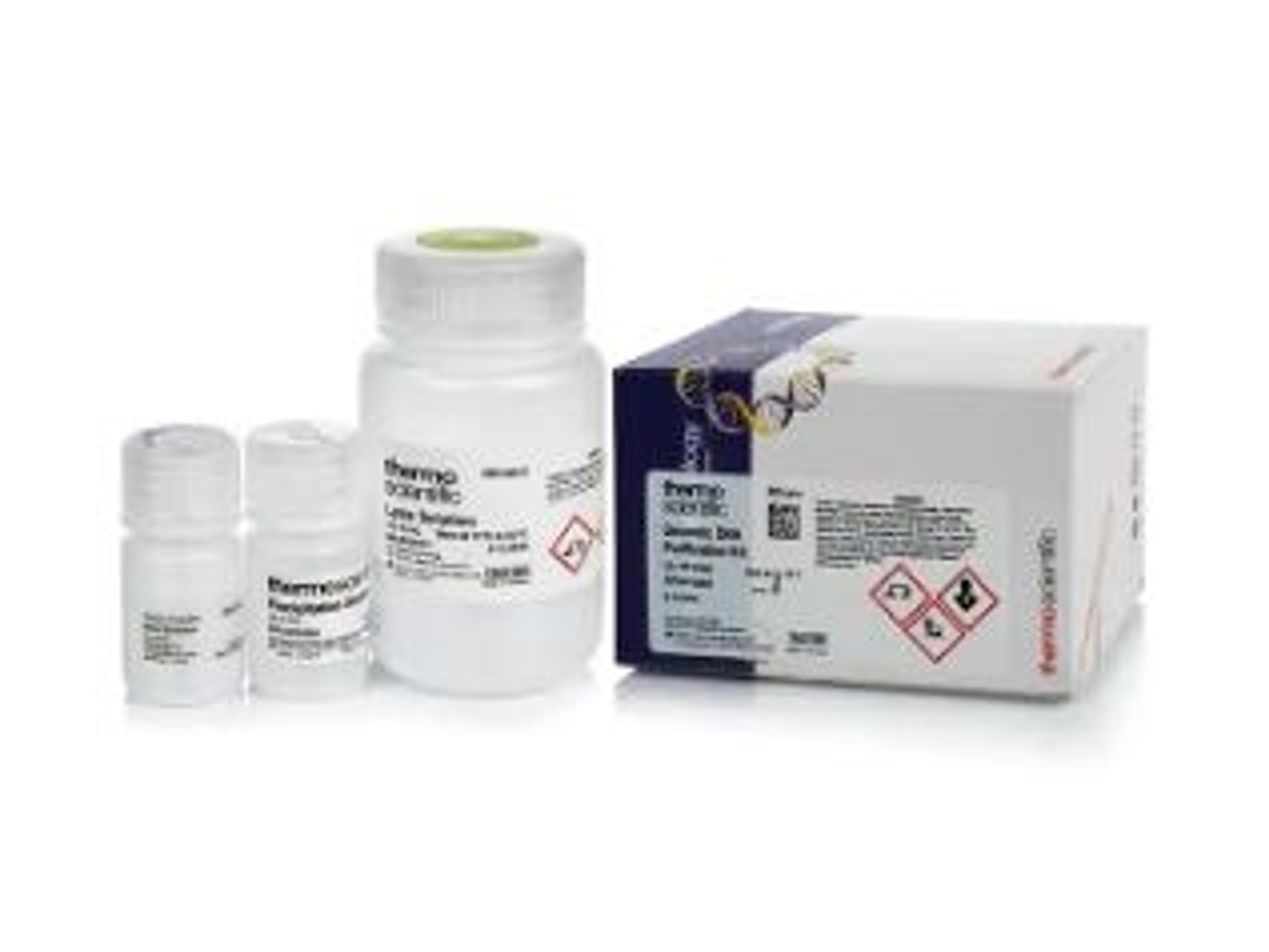 Genomic DNA Purification Kit - Thermo Fisher Scientific - Life Sciences