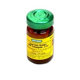 Immun-Star Goat Anti-Rabbit (GAR)-HRP Conjugate - Bio-Rad - Life Sciences