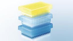 QIAprep 96 Plates (24) - QIAGEN