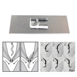 Stimulus Preference Chip - InVivo Biosystems - Drug discovery > Target Discovery