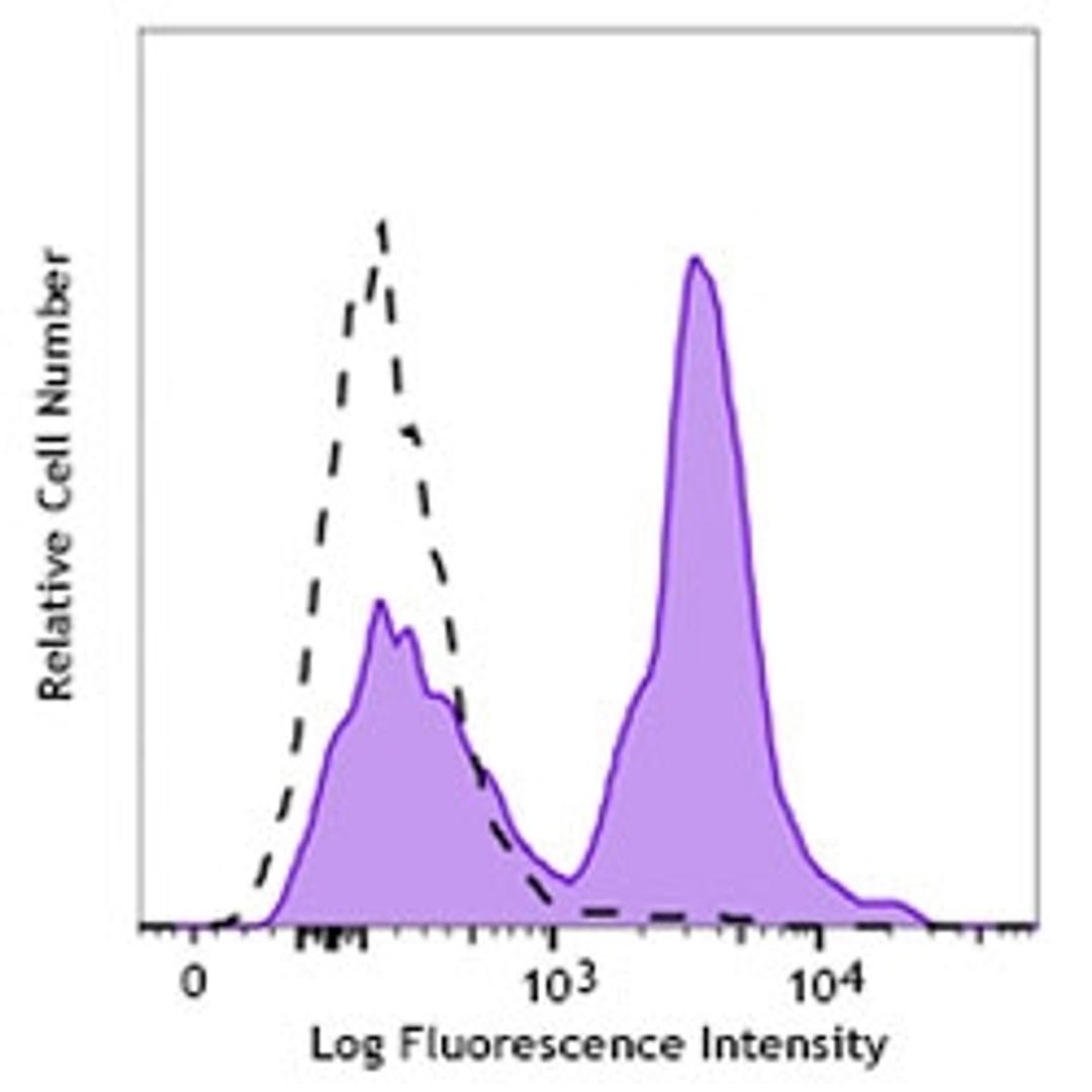 PE/Cy7 Annexin V - BioLegend - Life Sciences