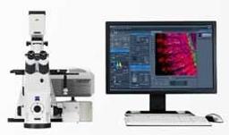 ZEISS LSM 710 NLO and LSM 780 NLO - ZEISS Research Microscopy Solutions - Life Sciences