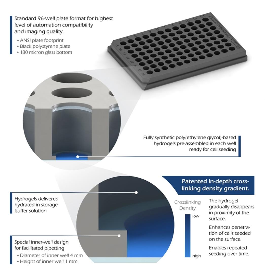 TrueGel3D® HTS Hydrogel Plates for 3D Cell Culture - Merck - Life Sciences