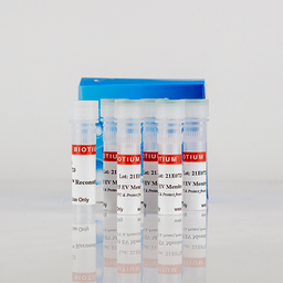 ExoBrite™ CTB EV Staining Kits - Biotium - Life Sciences