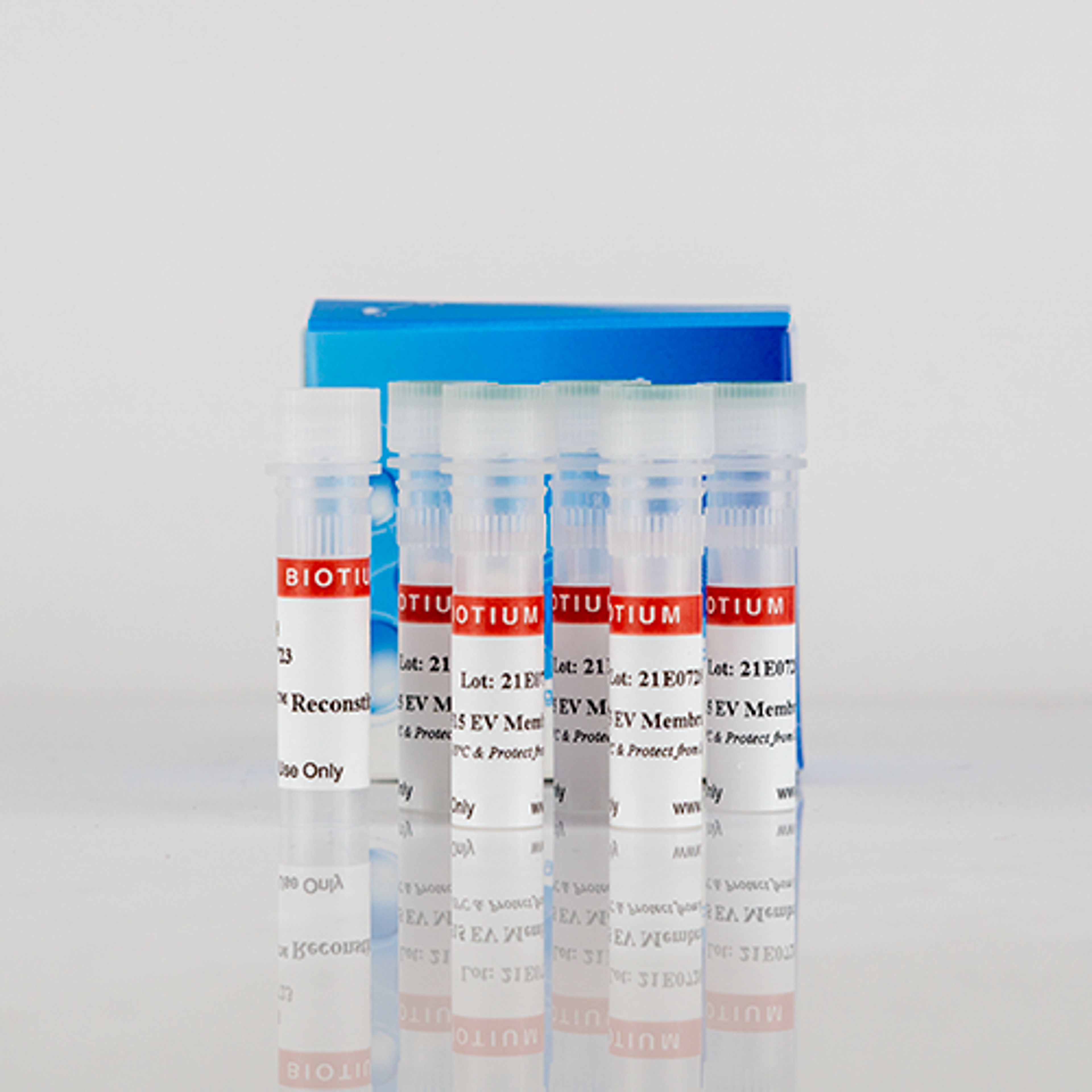 ExoBrite™ CTB EV Staining Kits - Biotium - Life Sciences