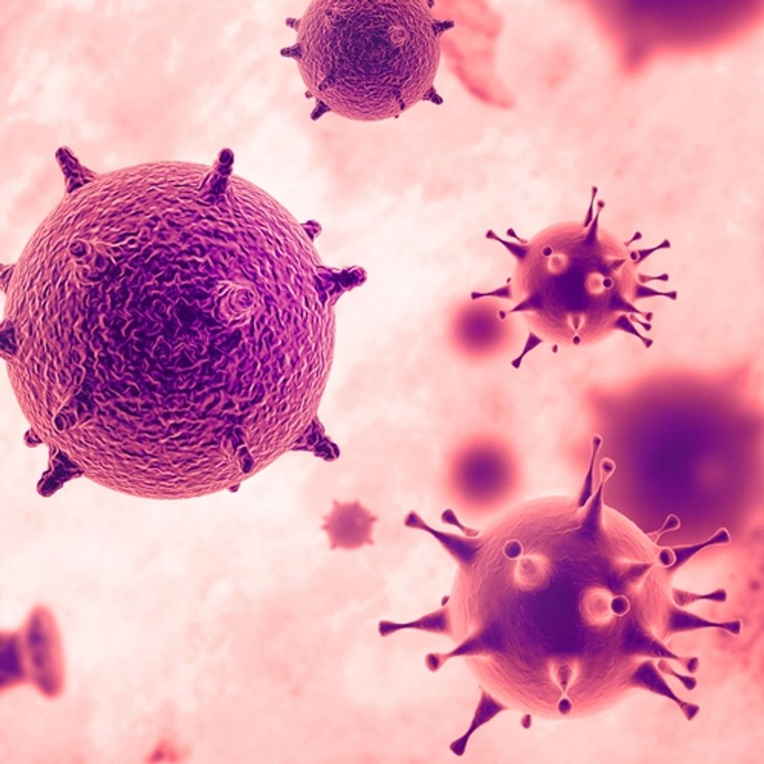 Human Coronavirus NL63 Nucleoprotein (E. coli) - The Native Antigen Company - Life Sciences