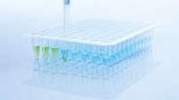 QuantiNova Multiplex RT-PCR Kit (500) - QIAGEN