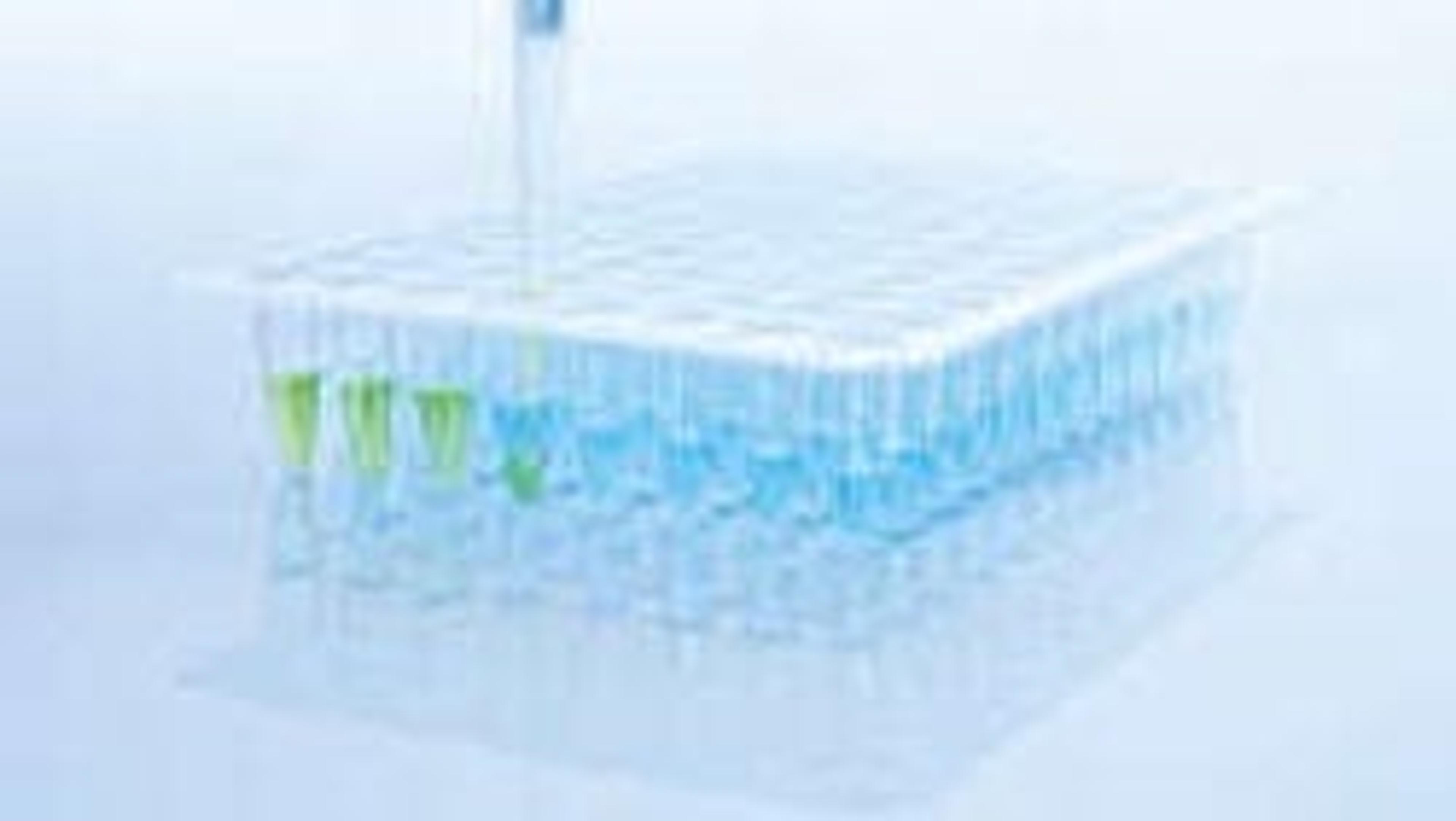 QuantiNova Multiplex RT-PCR Kit (500) - QIAGEN