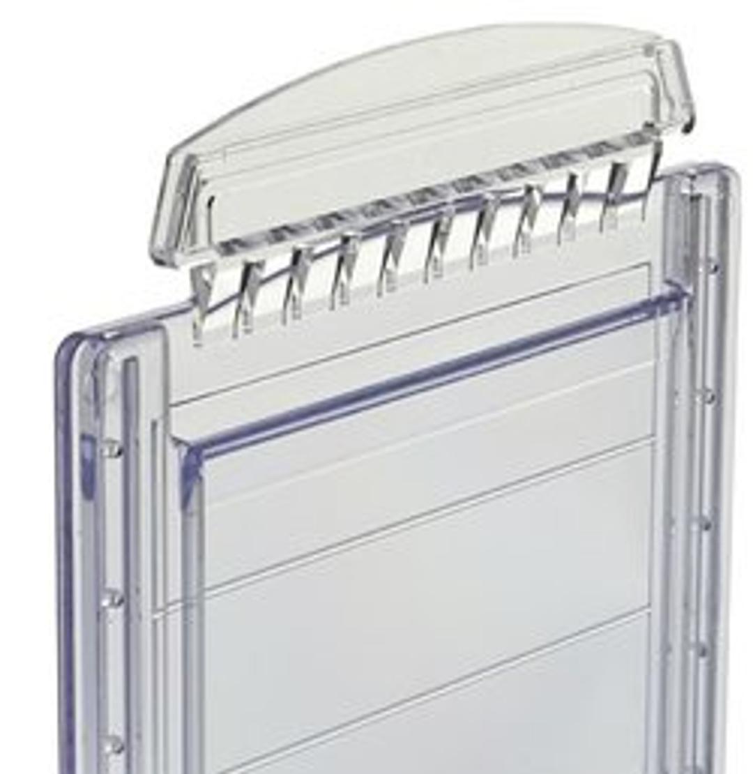 Invitrogen™ Novex™ Tris-Glycine Mini Gels, WedgeWell™ format - Thermo Fisher Scientific - Life Sciences