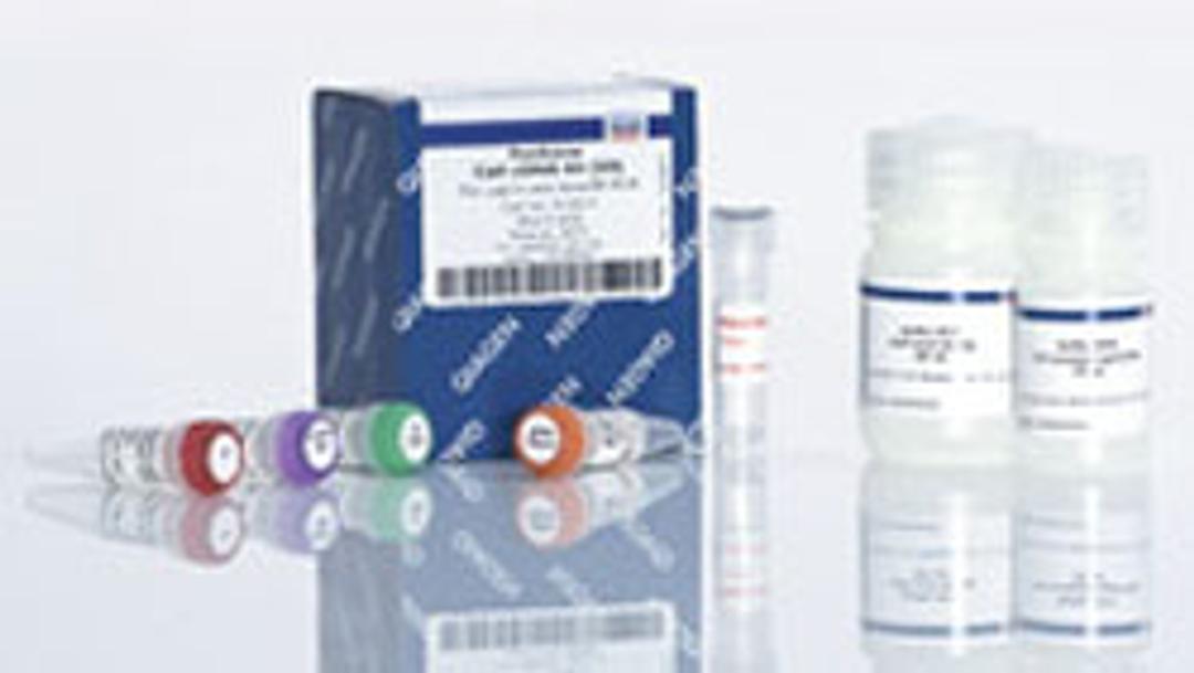 FastLane Cell cDNA Kit (50) - QIAGEN