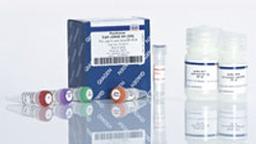 FastLane Cell cDNA Kit (50) - QIAGEN