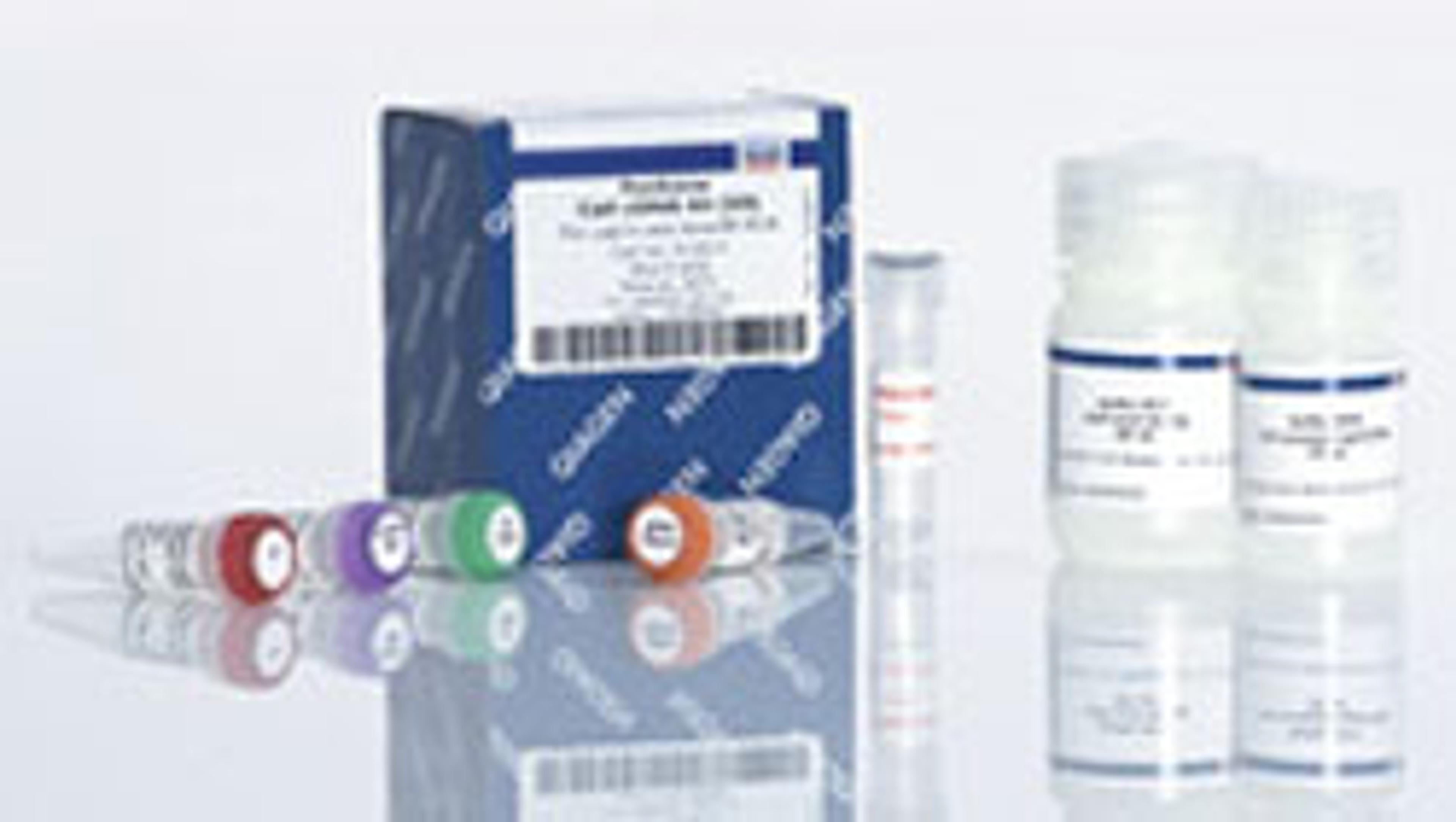 FastLane Cell cDNA Kit (50) - QIAGEN