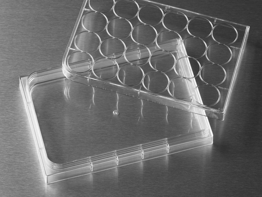 HTS Transwell®-24 TC-treated Reservoir, Sterile - Corning Life Sciences - Life Sciences