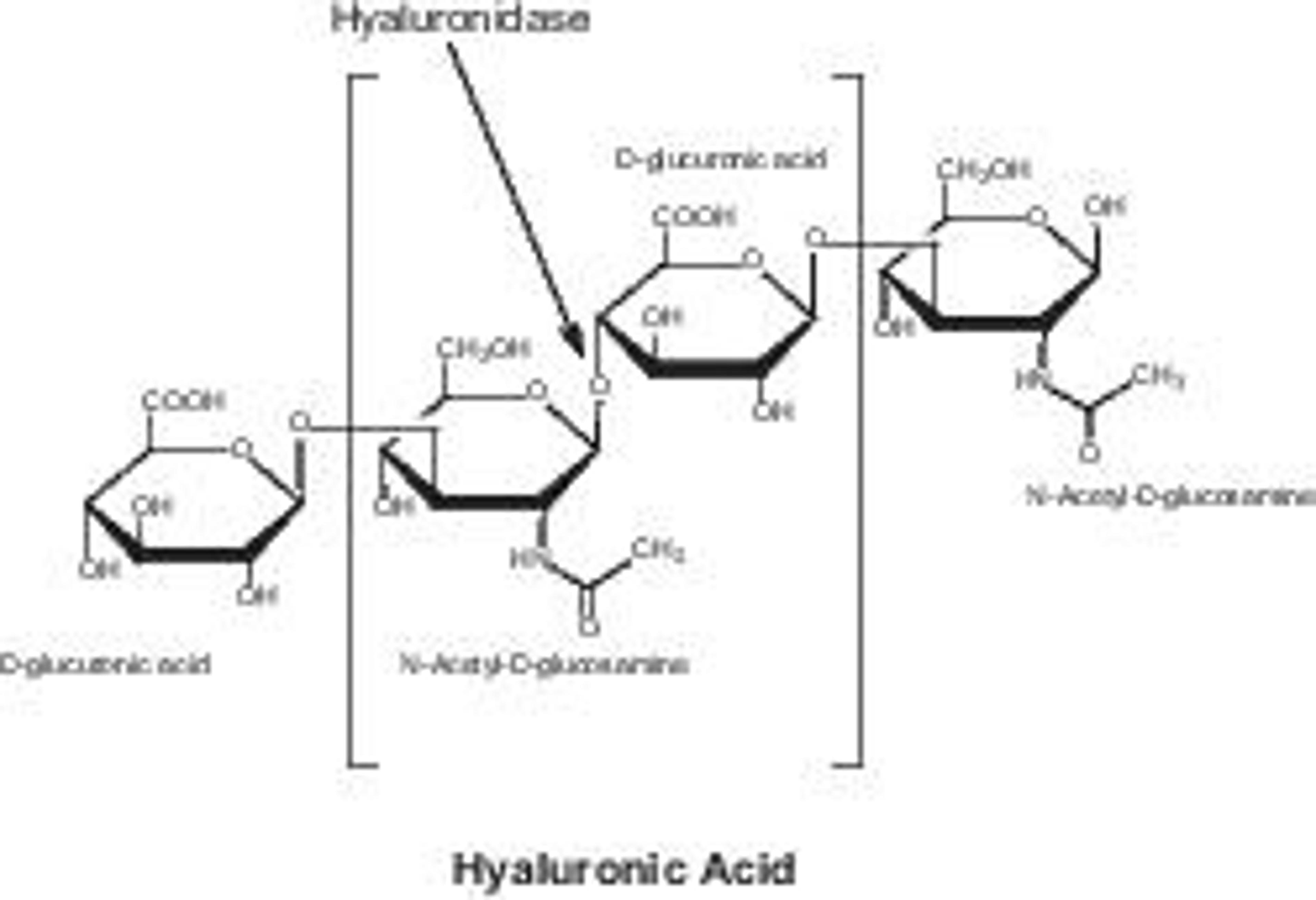 Hyaluronidase from bovine testes - Merck KGaA, Darmstadt, Germany - Life Sciences
