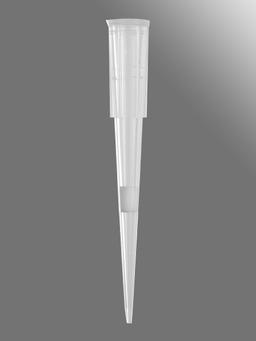 Axygen® 20 µL Universal Fit Filter Tips Racked, Clear, Sterile, Rack Pack, 96 Tips/Rack, 10 Racks/Pack, 5 Packs/Case - Corning Life Sciences - General Lab