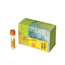 iQ™ SYBR® Green Supermix, 1,000 x 50 µl rxns, 25 ml (5 x 5 ml) - Bio-Rad - Life Sciences