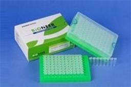 AccuPower® DNA Ligation PreMix; 20 µl, 0.2 ml thin-wall 8-strip tubes with attached cap, 96 ligations - Bioneer - Life Sciences