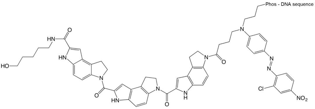 Minor Groove Binder / Eclipse Dark Quencher