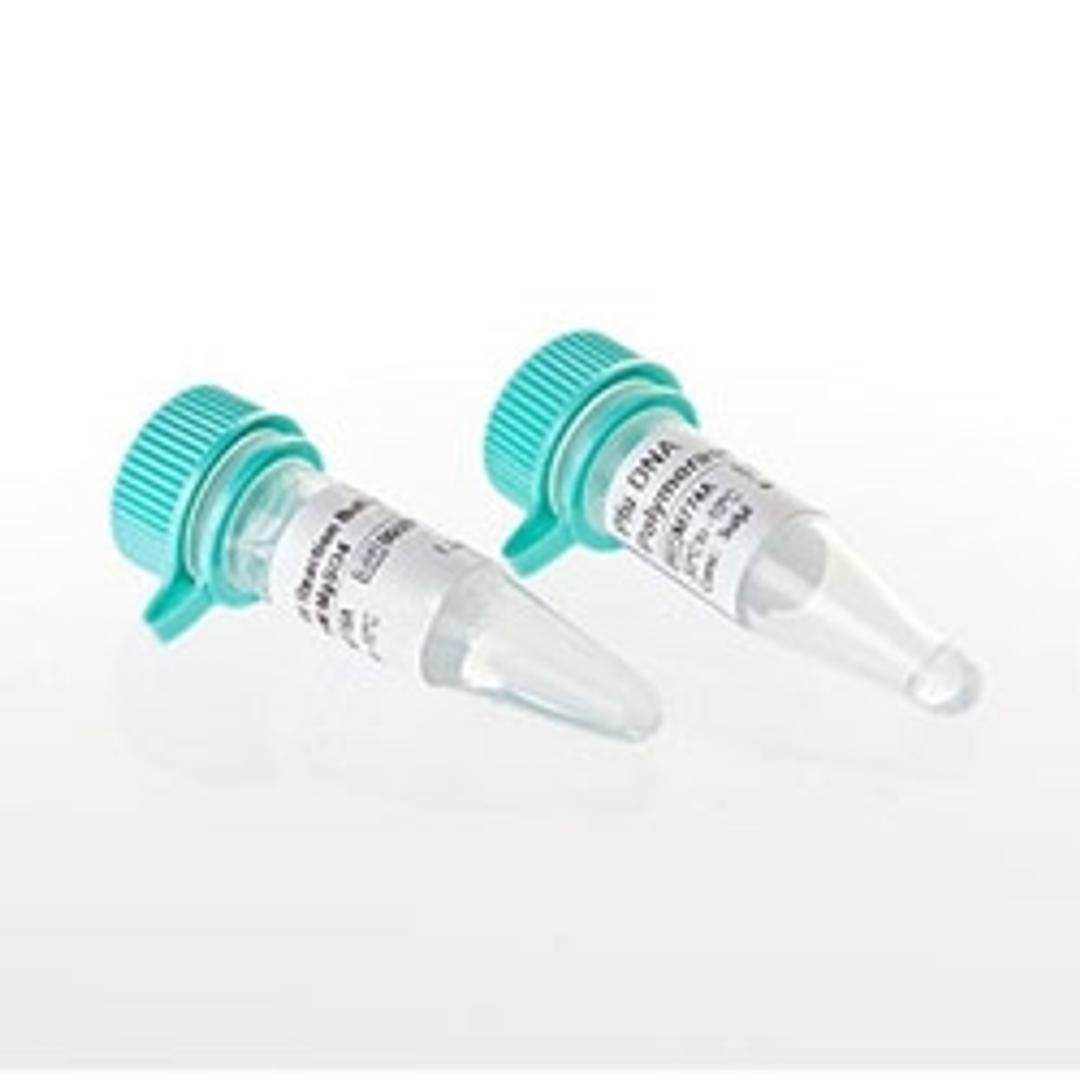 Pfu DNA Polymerase - Promega Corp. - Life Sciences