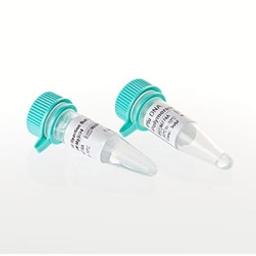 Pfu DNA Polymerase - Promega Corp. - Life Sciences