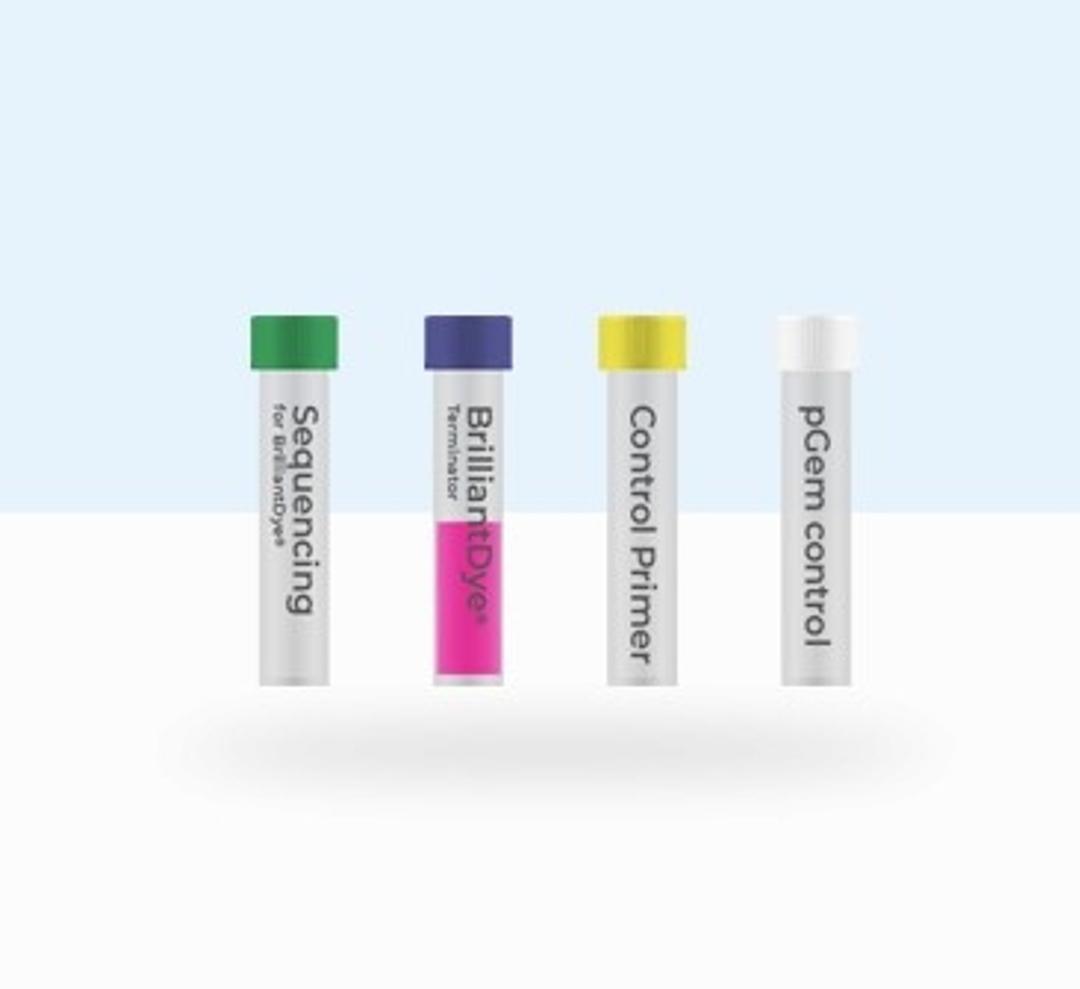 dGTP BrilliantDye™ Terminator Cycle Sequencing kit - NimaGen - Life Sciences