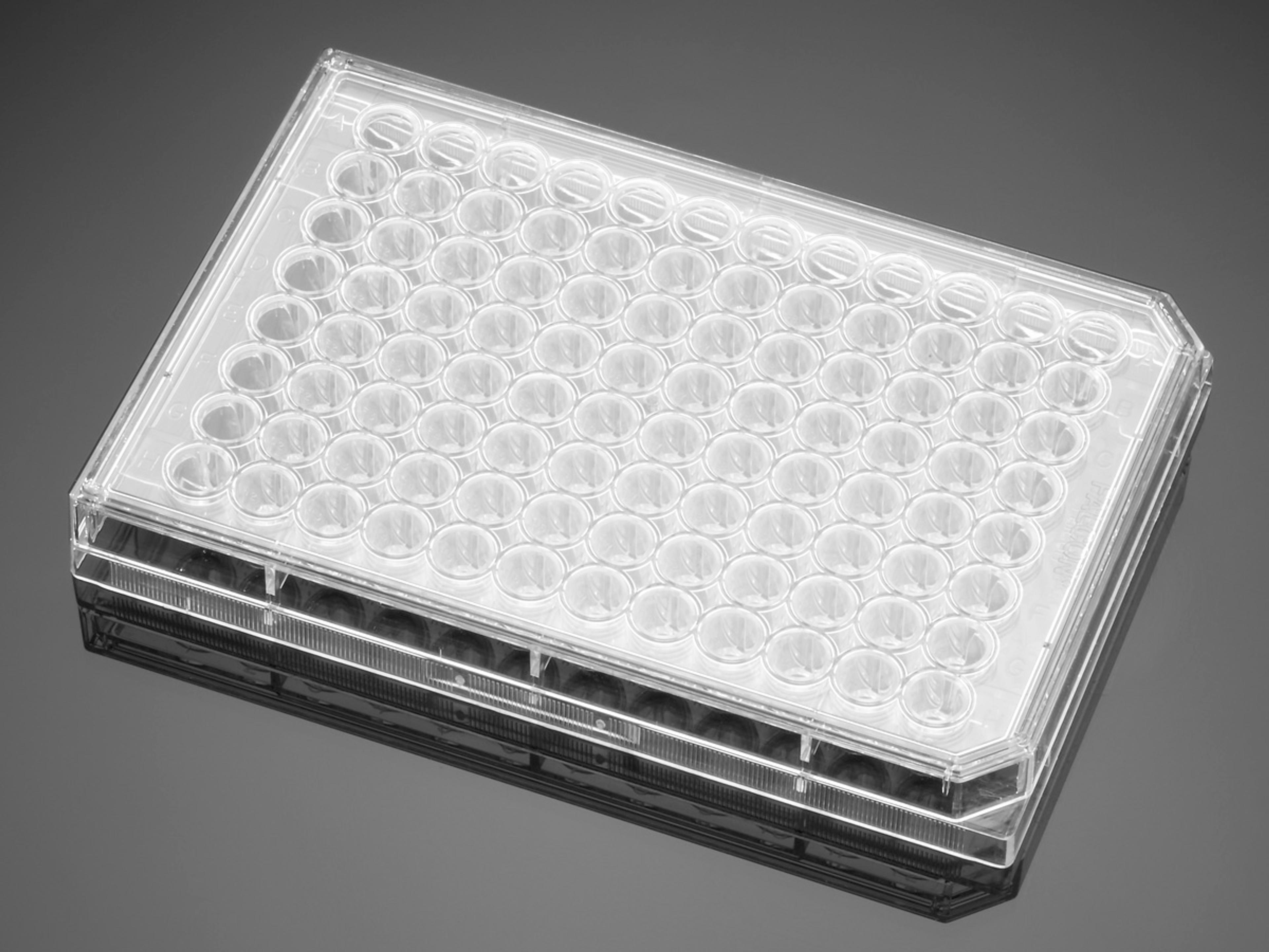 Falcon® 96-well Clear Round Bottom TC-treated Cell Culture Microplate, with Lid, Individually Wrapped, Sterile, 50/Case - Corning Life Sciences - Life Sciences