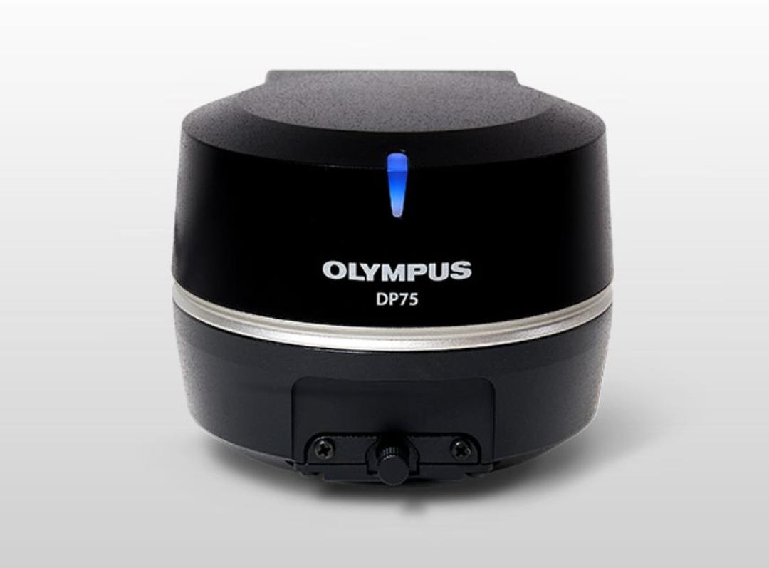 DP75 Microscope Digital Camera - EVIDENT - Life Sciences