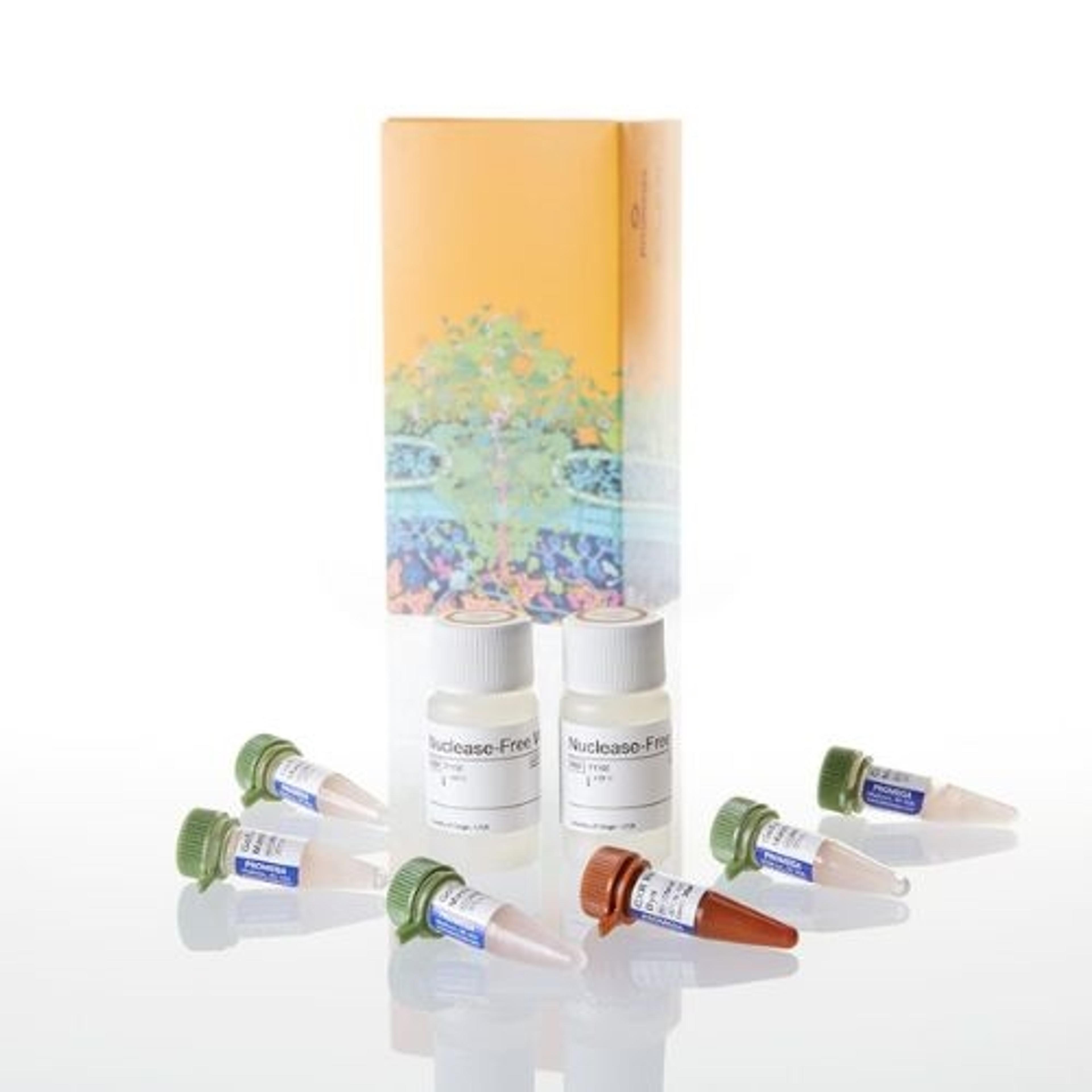 GoTaq Real-Time PCR Systems - Promega Corp. - Life Sciences