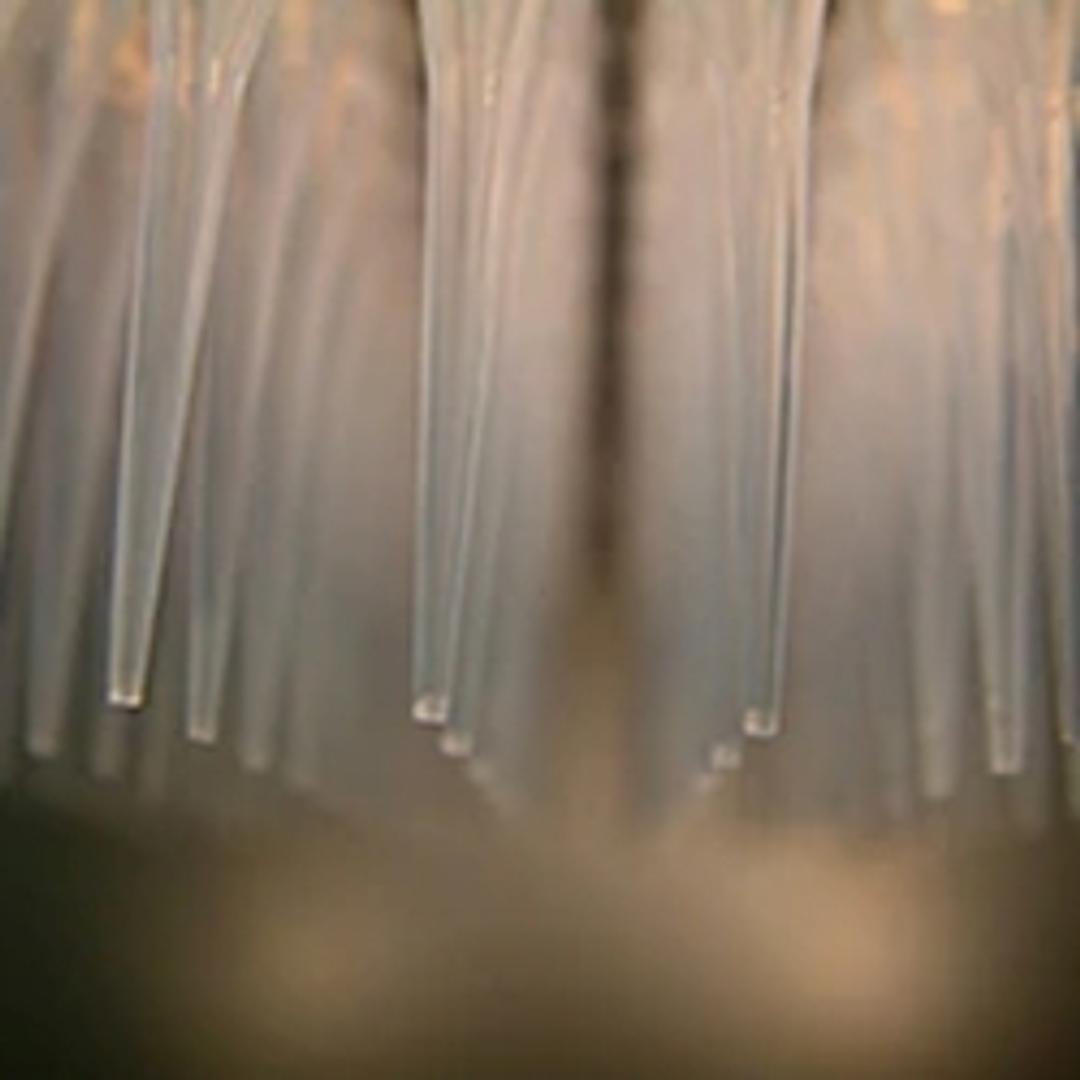 Fluorescence Microplate Assays - Thermo Fisher Scientific - Life Sciences