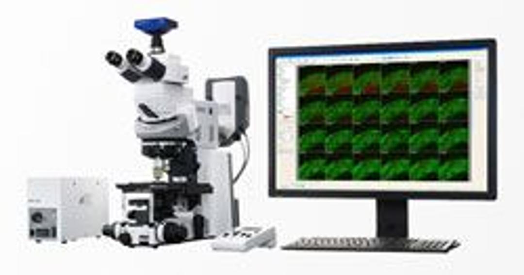 ZEISS Axio Examiner for Life Science Research - ZEISS Research Microscopy Solutions - Life Sciences