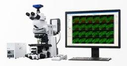 ZEISS Axio Examiner for Life Science Research - ZEISS Research Microscopy Solutions - Life Sciences