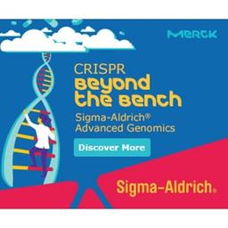 Sigma-Aldrich® CRISPR synthetic gRNAs - Merck - Life Sciences