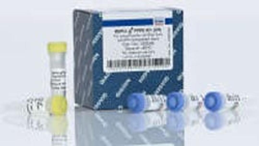 REPLI-g FFPE Kit (25) - QIAGEN