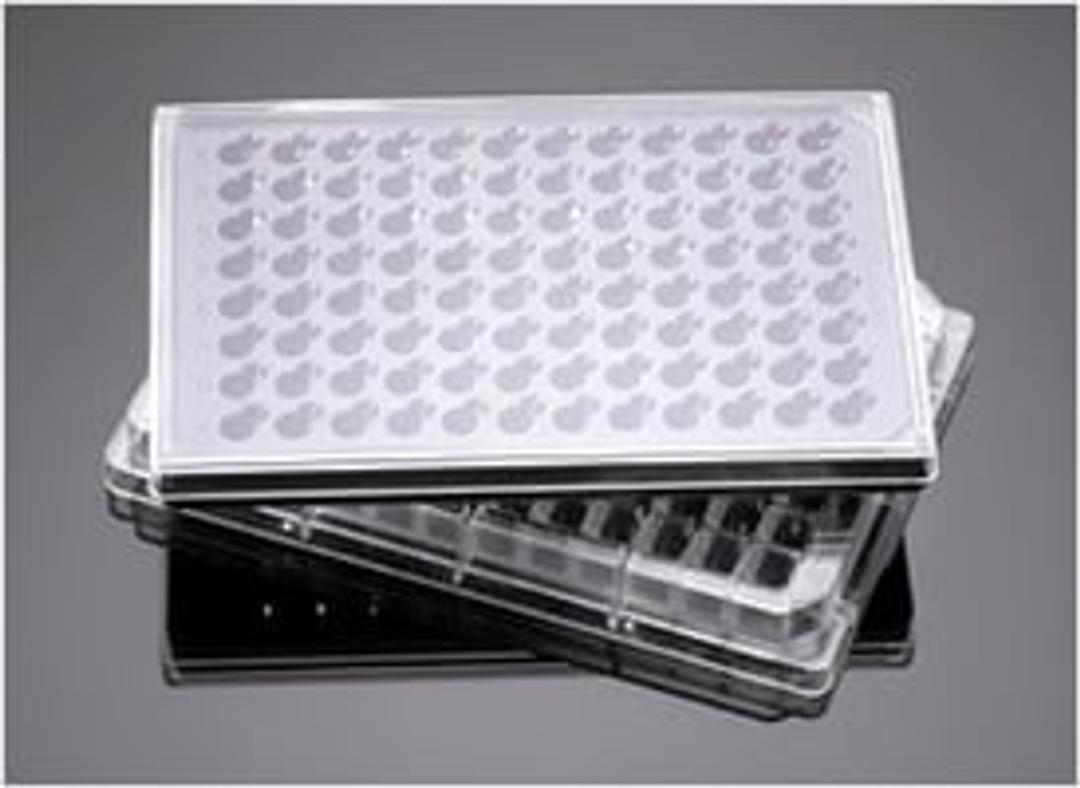 Corning® FluoroBlok™ HTS 96-well Multiwell Permeable Support System with 3.0 µm High Density PET Membrane, Sterile, 5/Case - Corning Life Sciences - Life Sciences