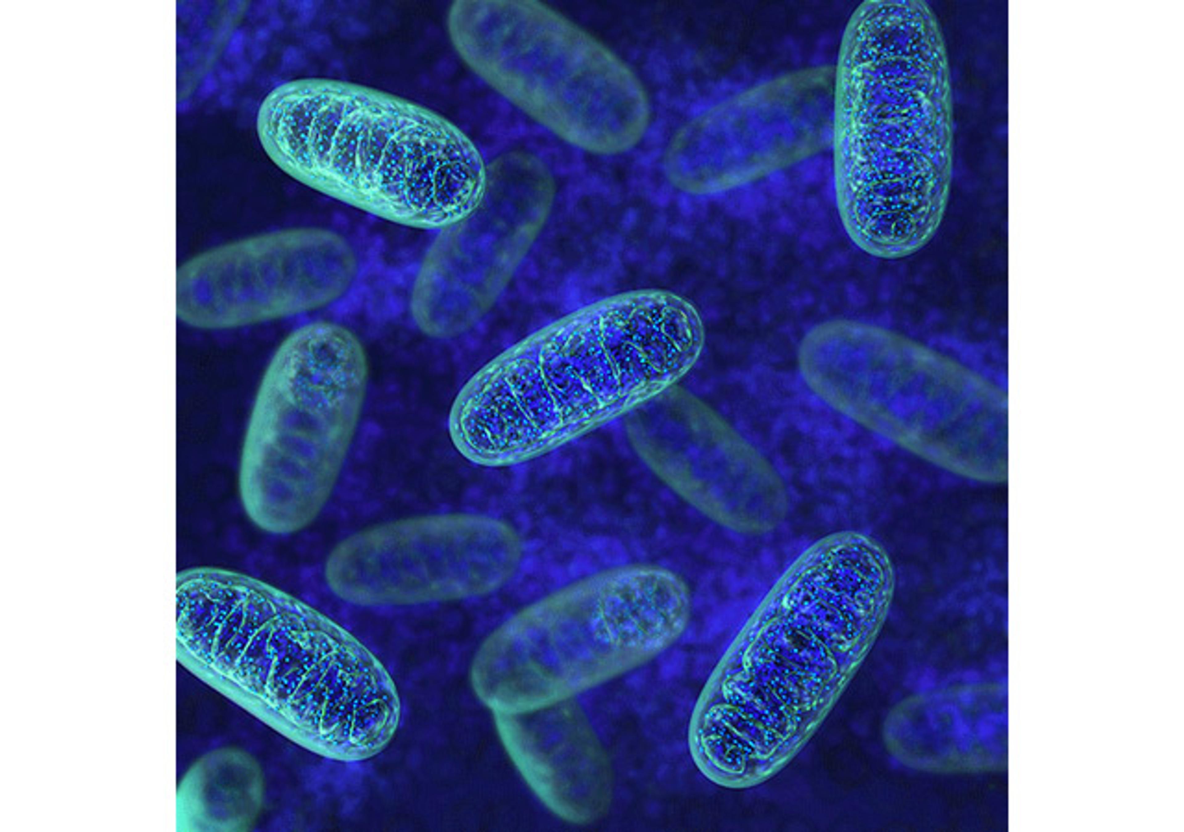 Metabolomics - Cambridge Isotope Laboratories - Life Sciences