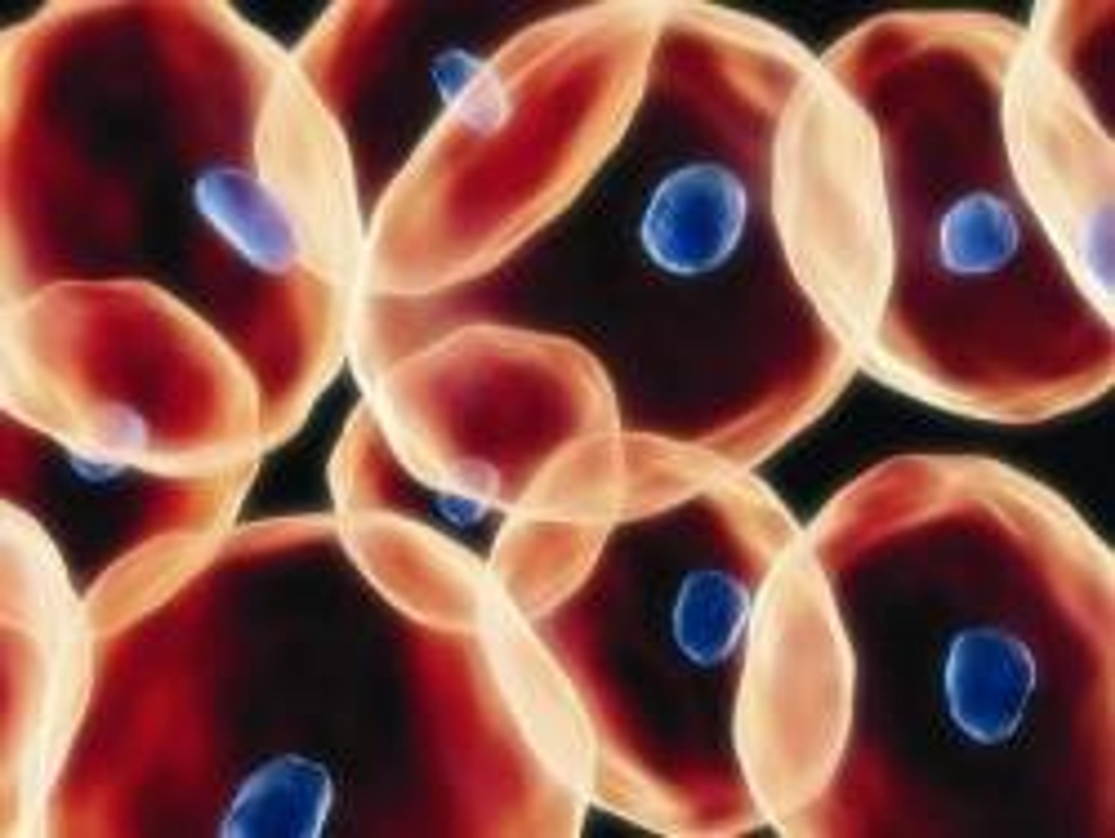 CytosALL RNA Extraction Kit & Reagent - Thermo Fisher Scientific - Life Sciences