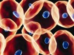 CytosALL RNA Extraction Kit & Reagent - Thermo Fisher Scientific - Life Sciences