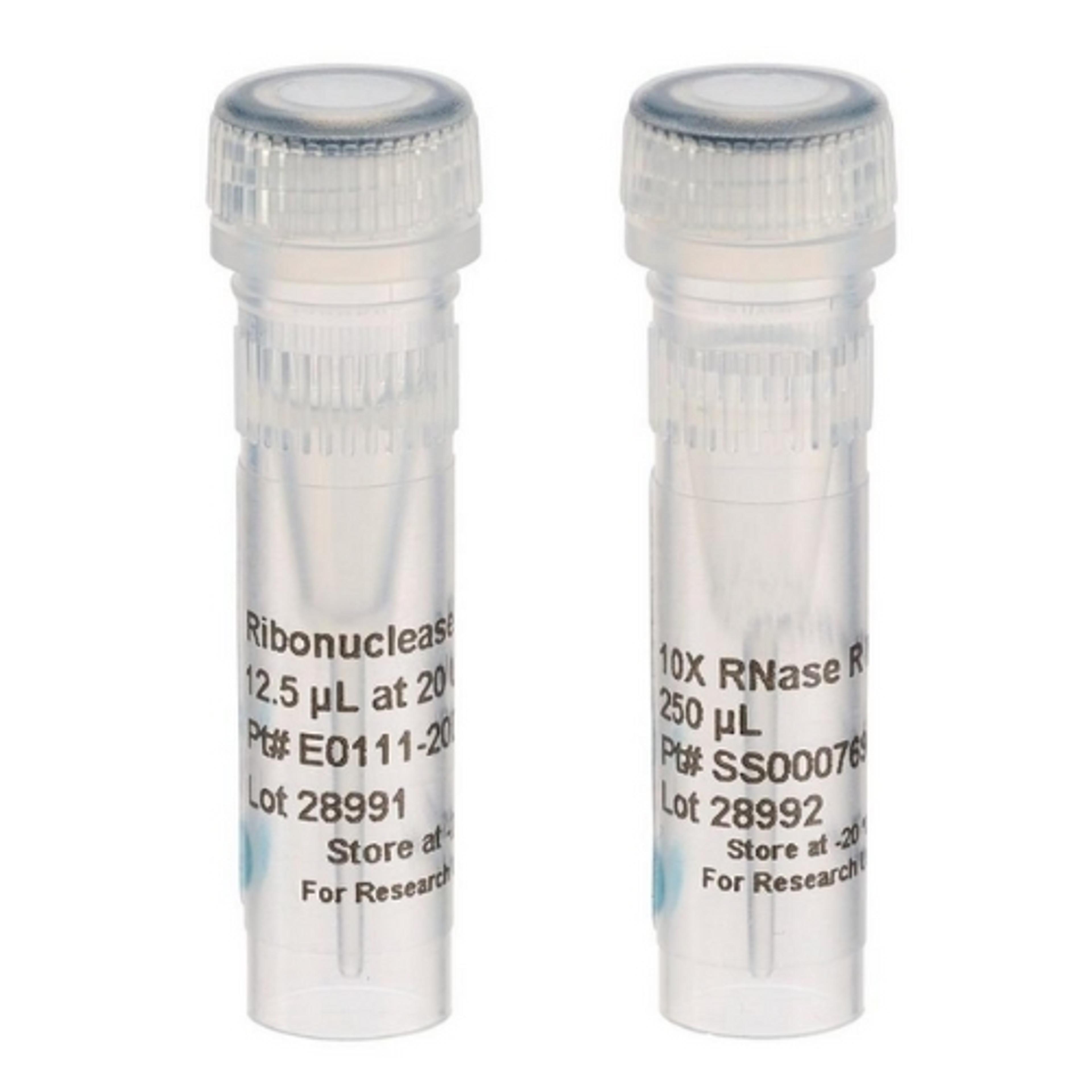 Ribonuclease R (RNase R) - LGC Biosearch Technologies - Life Sciences