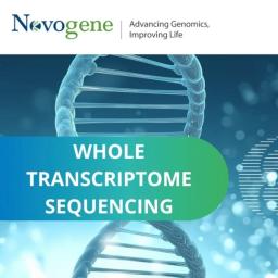 Whole transcriptome sequencing (RNA-seq) - Novogene - Life Sciences