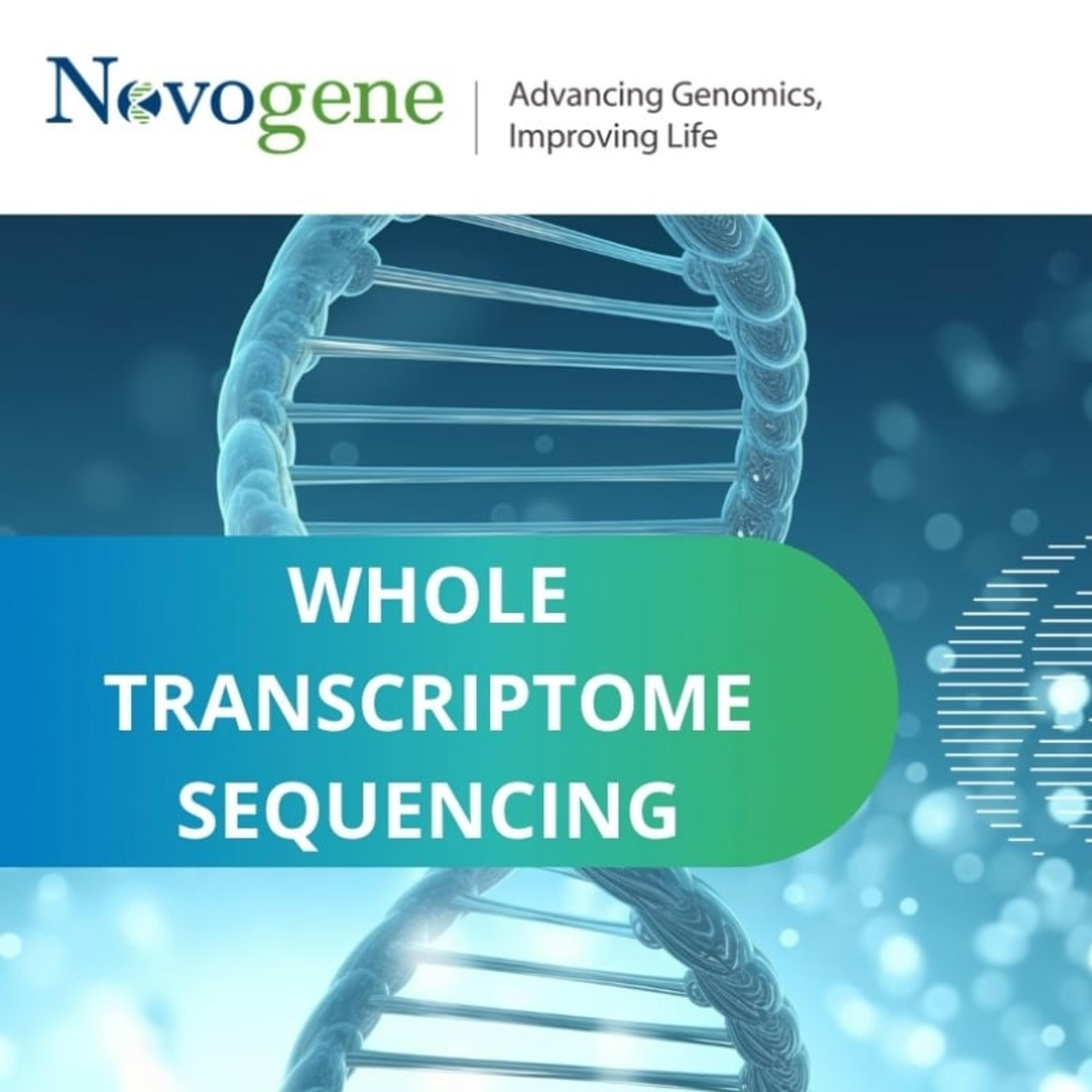Whole transcriptome sequencing (RNA-seq) - Novogene - Life Sciences