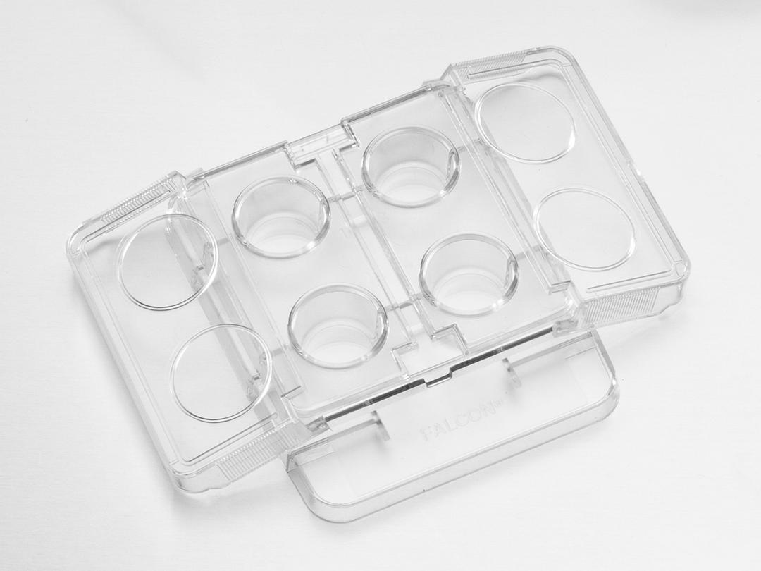 Falcon® 4-well TC-treated in vitro Fertilization (IVF) Plate - Corning Life Sciences - Life Sciences