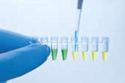 UCP Multiplex PCR Kit (100) - QIAGEN