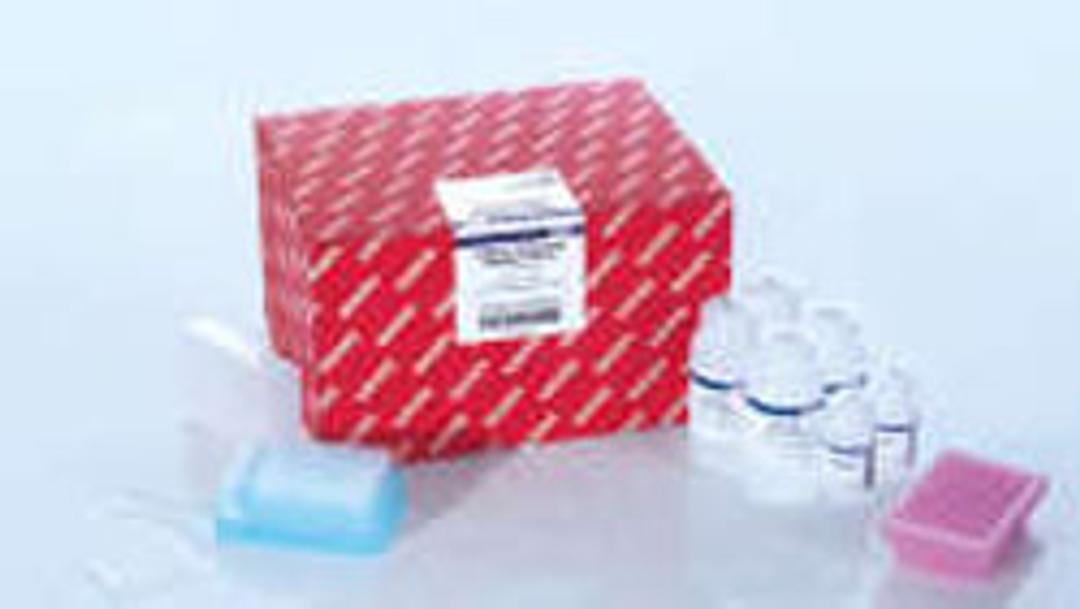 miRNeasy 96 Advanced QIAcube HT Kit (5) - QIAGEN