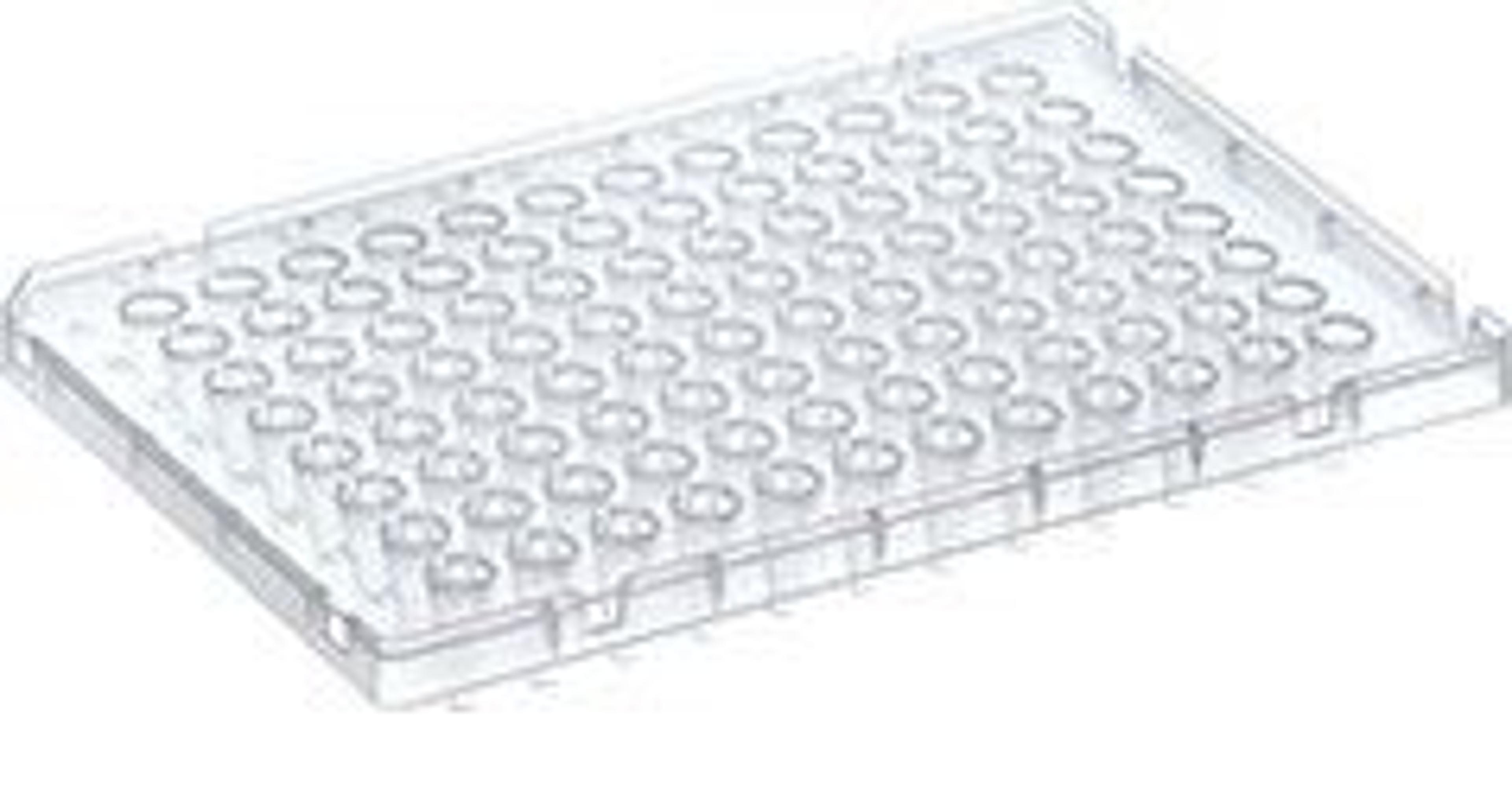 Thermo Scientific Fast Block PCR Plate - Thermo Fisher Scientific - Life Sciences