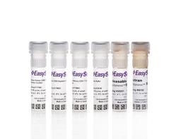 EasySep™ Human Central and Effector Memory CD4+ T Cell Isolation Kit - STEMCELL Technologies Inc. - Life Sciences